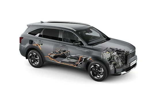 Discover your perfect fit